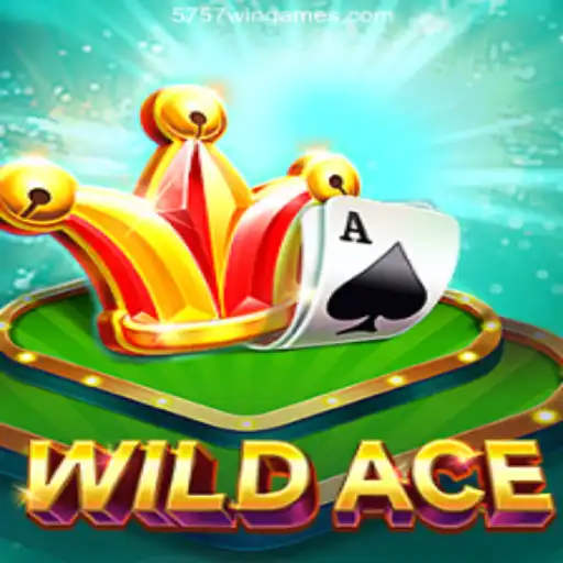 Exploring WildAce: The Exciting World of Online Casino Games